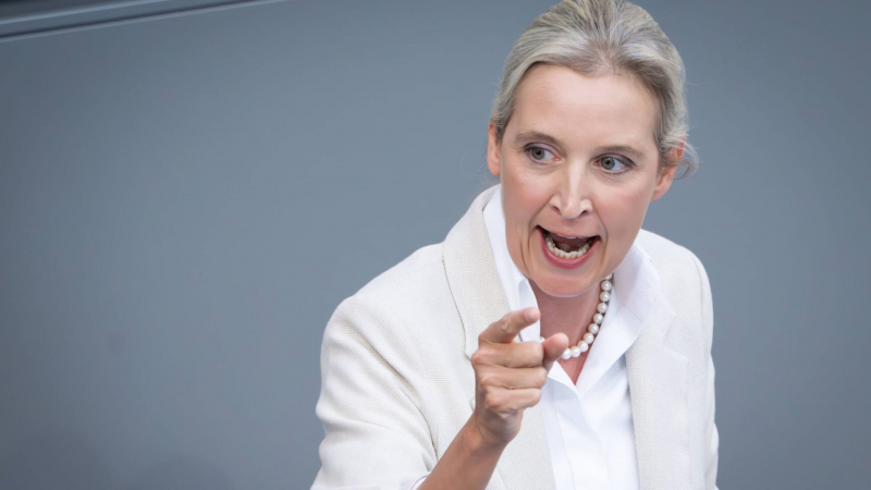 AfD gegen Verfassungsschutz: Ein Selbstläufer ist das nicht