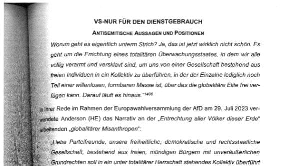 "Gesichert rechtsextremistisch": Magazin stellt AfD-Gutachten ins Netz