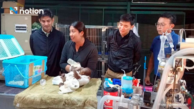 Süßes Orang-Utan-Duo mit Babyflasche gerettet