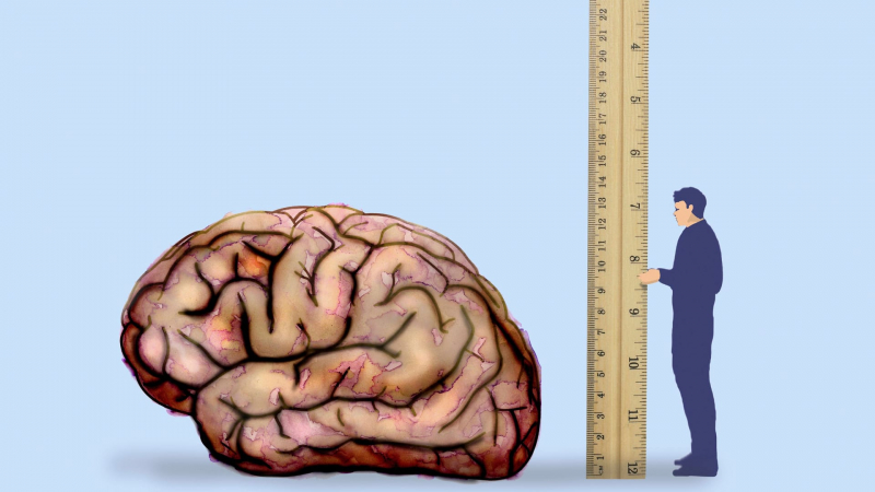 Diese 15 Fragen aus dem IQ-Test testen Ihre Intelligenz – kostenlos