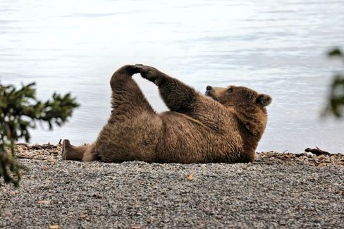 Wie wir mit Yoga beweglicher werden